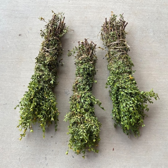 Fresh Chaparral (Creosote) Bundle, wildcrafted fresh creosote desert rain - Picture 3 of 4